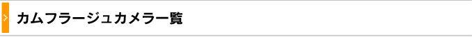 カムフラージュカメラ一覧