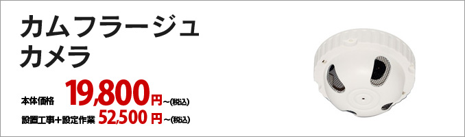 カムフラージュカメラ