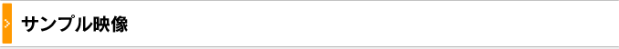 サンプル映像